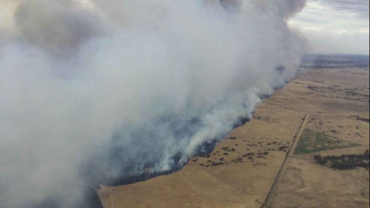 SA bushfire threat downgraded as firefighters monitor area : SA Police ...