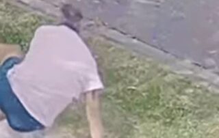 former-queensland-cricketer,-tv-star-lee-carseldine-chases-down-alleged-laptop-thieves