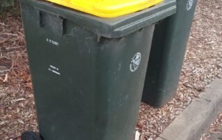 who’s-been-stealing-wheelie-bins?