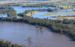 live:-nsw-now:-premier-to-visit-flood-hit-central-west-as-some-residents-return-home