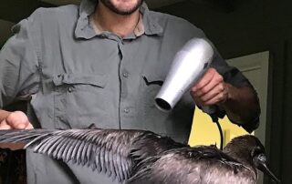 the-loop:-tim-paine-asks-for-forgiveness,-philippines-to-welcome-back-tourists-and-ever-seen-a-blow-dried-booby?