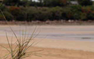 man-who-killed-partner-on-darwin’s-mindil-beach-in-‘brutal’-attack-sentenced-to-13-years-in-prison