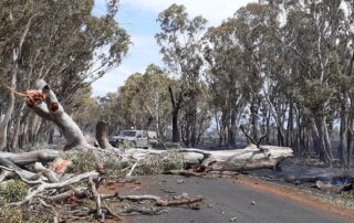 victorian-farmers-cleaning-up-after-district’s-worst-fire-since-the-1950s