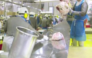 woolworths-suspends-meat-supply-from-sa-abattoir-over-covid-safety-concerns