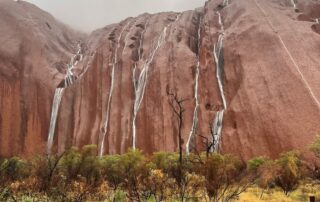 nt-police-arrest-man,-18,-over-fatal-stabbing-near-uluru