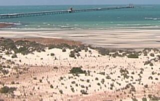 new-dna-comparison-provides-‘extremely-strong’-link-between-bones-and-missing-whyalla-man