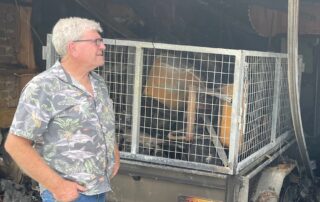 warning-about-maintaining-solar-panel-batteries-after-adelaide-house-badly-damaged-in-fire