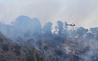 another-suspicious-fire-on-the-limestone-coast,-but-police-say-none-of-the-blazes-linked