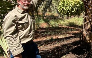 save-the-date:-why-shoppers-could-soon-be-buying-more-australian-grown-fruit