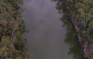 states-back-accc-murray-darling-water-reforms-as-commonwealth-reins-in-water-brokers