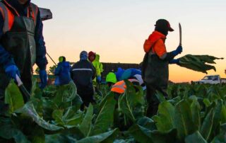 no-country-has-signed-up,-but-officials-expect-to-cap-number-of-foreign-workers-on-agriculture-visa