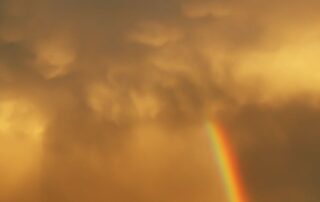 rain,-hail-and-shine:-extreme-weather-ahead-with-storms-in-the-east-and-heatwaves-in-the-west