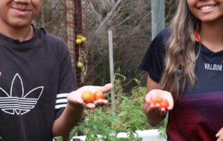 garden-helps-blossom-better-connection-for-community-battling-isolation-due-to-pandemic