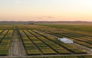 farmers-growing-mega-wheat-crops-roughly-five-times-the-national-average-in-crop-trial