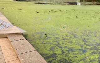 sa-liberals-push-to-turn-quarry-and-river-torrens-into-‘oasis’-as-poll-shows-labor-ahead