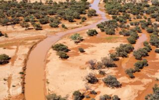 ‘this-place-has-been-transformed’:-outback-south-australia-greening-provides-silver-lining-to-flooding