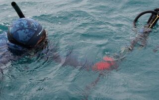 beachside-residents-left-reeling-over-spearfishing-change,-enthusiasts’-angle-for-acceptance
