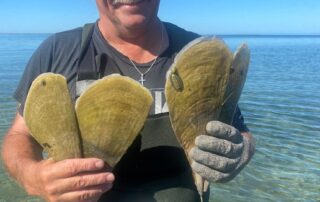 ‘it’s-got-a-lot-of-potential’:-sa-oyster-grower-set-to-open-first-razorfish-farm-in-australia