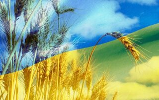 millions-of-tonnes-of-ukrainian-wheat-at-risk-as-war-rages-in-‘europe’s-breadbasket’