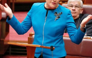pauline-hanson-says-mystery-candidate-is-‘ordinary-mum’,-but-concedes-they’ve-not-met
