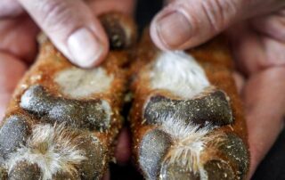 these-taxidermists-couldn’t-say-no-to-immortalising-cats-and-dogs,-though-many-would