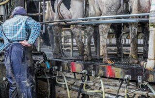buying-a-farm-may-get-easier-under-proposed-loan-guarantee-scheme