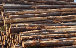 having-problems-finding-structural-timber-to-build-your-home?-the-forestry-industry-hopes-engineered-wood-is-the-answer