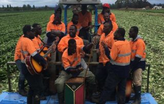 ‘an-extremely-skilled-job’:-small-farms-present-bigger-learning-opportunities-for-pacific-islander-workers
