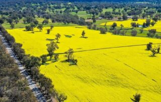 australian-agriculture-is-booming,-so-how-do-you-invest-without-buying-a-farm?