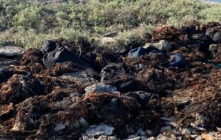 new-details-in-botched-abrolhos-drug-smuggling-plot-revealed-as-fifth-man-pleads-guilty