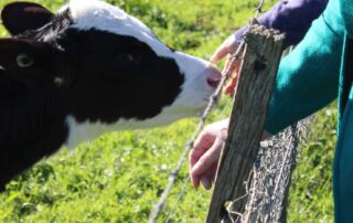 south-australia’s-new-lead-agriculture-teacher-to-‘reconnect-kids’-with-the-origins-of-food-and-fibre