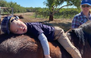 ‘it’s-a-chance-to-slow-down’:-pony-time-calming-for-owen-as-demand-for-animal-assisted-services-grows