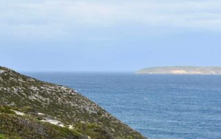 man-and-young-boy-rescued-from-water-off-cape-spencer