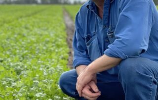 regional-queensland-remains-lnp-heartland-as-voters-react-to-‘greenslide’