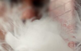 almost-1,000-vapes-seized-from-wa-food-and-drink-business-in-e-cigarette-crackdown