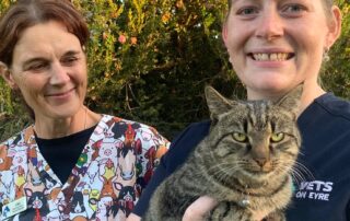 madeline-loves-being-a-vet,-but-she-was-not-prepared-for-the-mental-health-demands