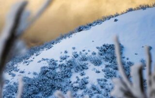 the-‘weather-amplifier’-linking-this-week’s-snow-to-record-floods-and-heat