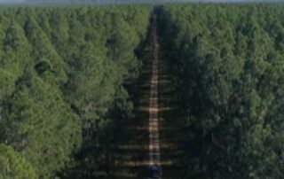 four-wheel-drivers-find-human-remains-on-remote-glasshouse-mountains-track