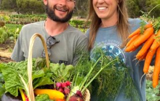 ‘keep-it-local’:-these-vegie-growers-won’t-be-increasing-their-lettuce-prices,-here’s-why