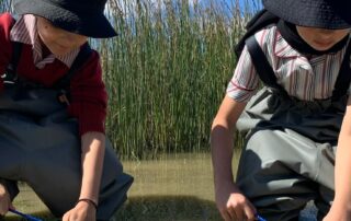 school-of-fish:-how-a-hands-on-program-is-engaging-students-and-helping-save-a-species-from-extinction