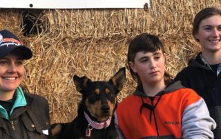 kimmy-is-top-dog-as-dozens-of-kelpies-rounded-up-for-auction