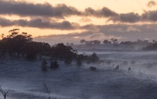 the-winter-solstice-is-almost-here.-when-is-it,-and-why-does-it-happen?