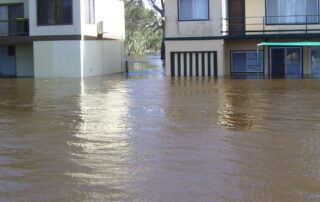rains-see-birds-flourish-—-and-leave-sa-river-shacks-at-flood-risk