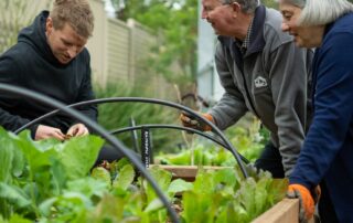 community-gardens-offer-free-produce-—-and-a-chance-to-learn-new-skills-—-as-rising-costs-bite
