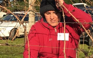 history-made-at-the-triumphant-return-of-south-australia’s-top-vine-pruning-competition