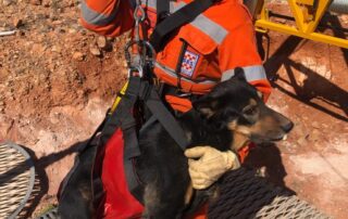‘very-happy’-dogs-rescued-from-12-metre-mine-shaft-in-coober-pedy