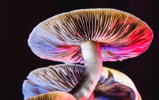 can-microdosing-psychedelics-improve-your-mental-health?-here’s-what-the-science-says