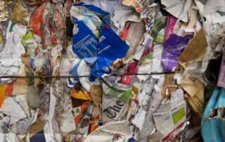 dead-cats,-rotting-fish-not-suitable-for-reuse,-frustrated-recycling-firm-says