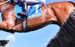 jumps-racing-to-be-banned-in-south-australia-with-state-government-backing-greens-bill