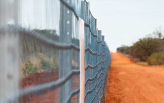 plan-to-extend-wild-dog-fence-around-most-of-nsw-delayed-again